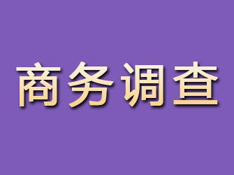 上饶商务调查